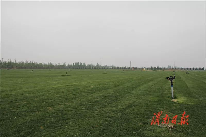 板岩镇强化党建引领促进乡村振兴,腊竹底村党建引领助推乡村振兴