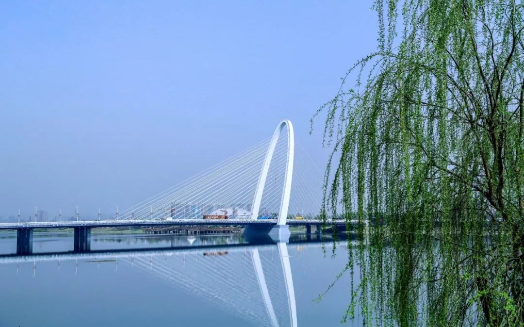 新宠驾到视频大全,新宠驾到完整视频