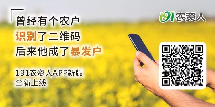 桃树灰霉病需要清理什么,桃树灰霉病在叶片上有什么症状