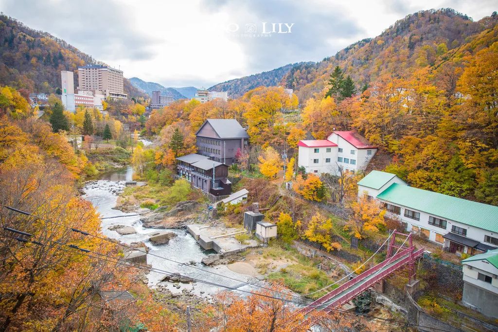 日本确定3月1日开放入境吗,日本开放办理工作签证的最新消息