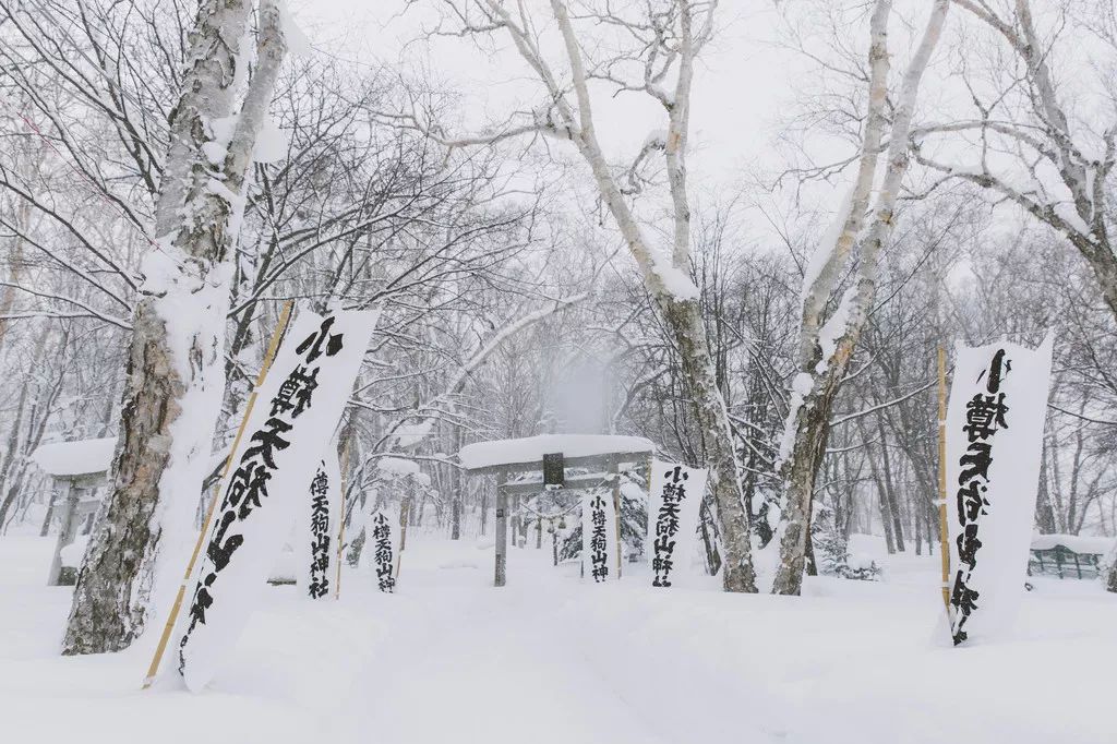日本确定3月1日开放入境吗,日本开放办理工作签证的最新消息