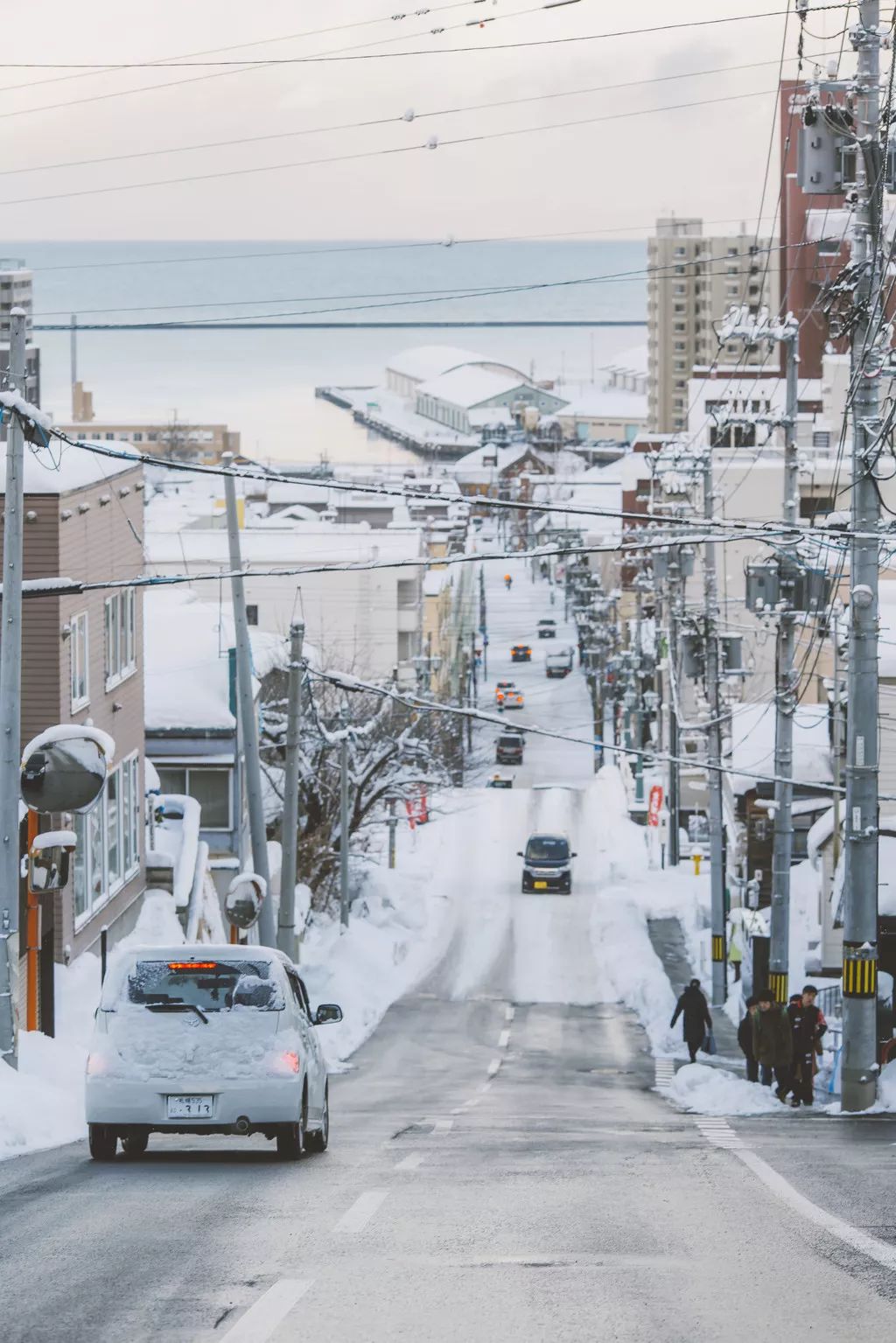 日本确定3月1日开放入境吗,日本开放办理工作签证的最新消息