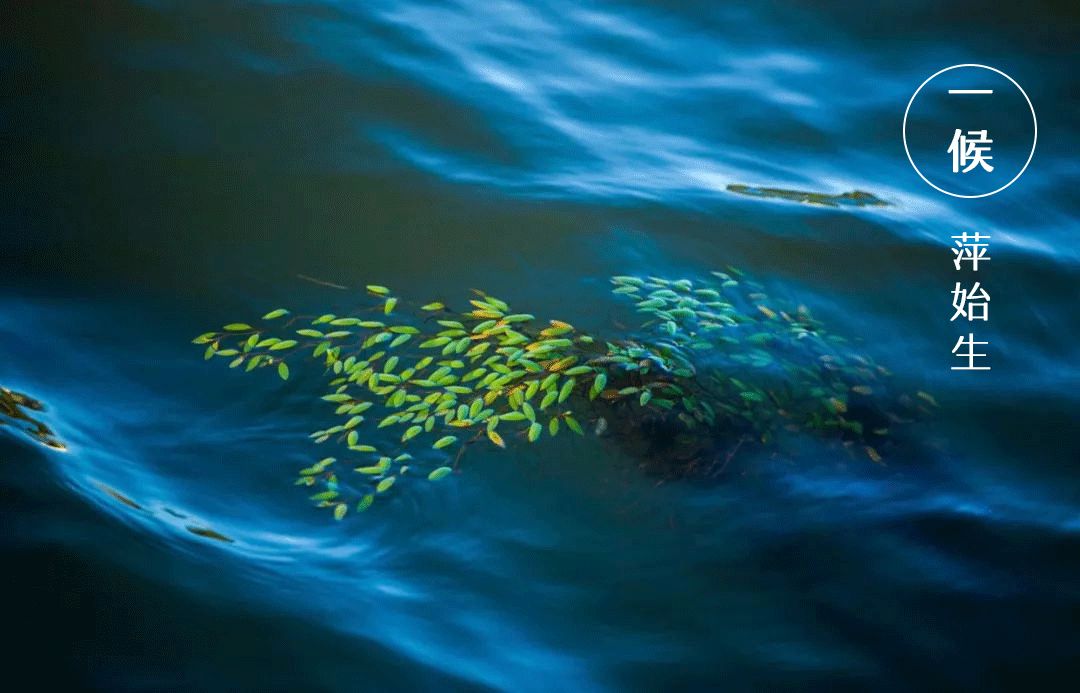 今日谷雨百谷生长万物更新,今日谷雨雨生百谷万物逢时皆美好