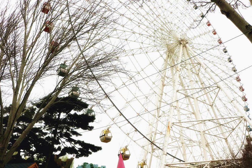 长春地铁一号线必吃馆子,长春地铁2号线沿线美食