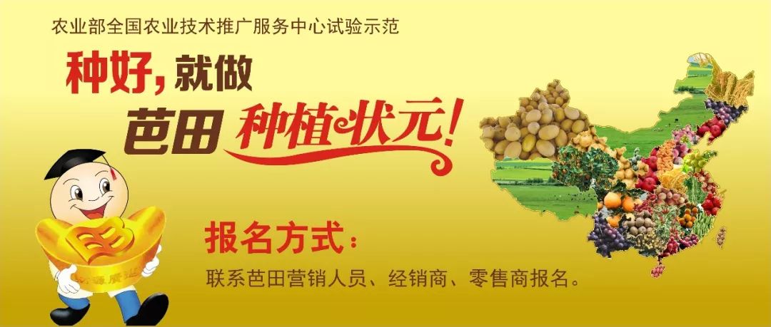 每亩可增产上百斤,葡萄如何做到增产增收