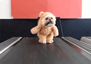 不用健身器材就可以练出完美身材,教你轻松健身在家也能练出好身材