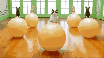 不用健身器材就可以练出完美身材,教你轻松健身在家也能练出好身材