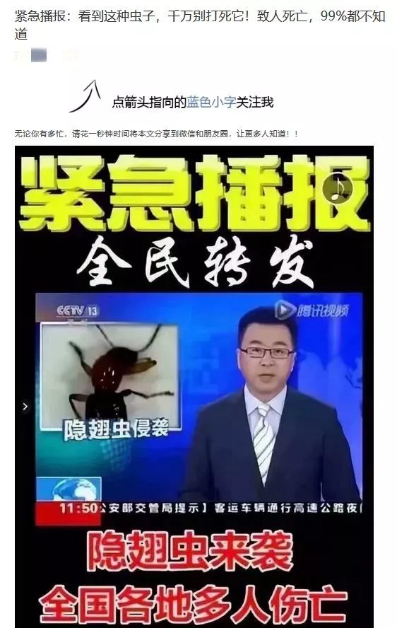 信阳市虫子,信阳常见的虫子