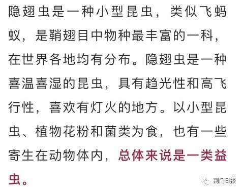 信阳市虫子,信阳常见的虫子