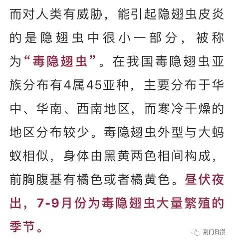 信阳市虫子,信阳常见的虫子