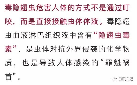 信阳市虫子,信阳常见的虫子