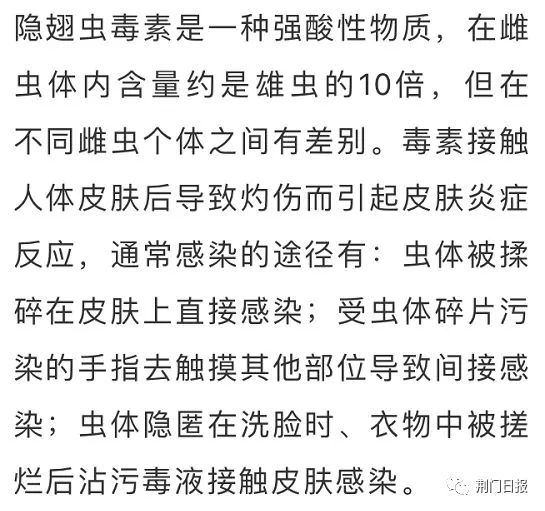 信阳市虫子,信阳常见的虫子