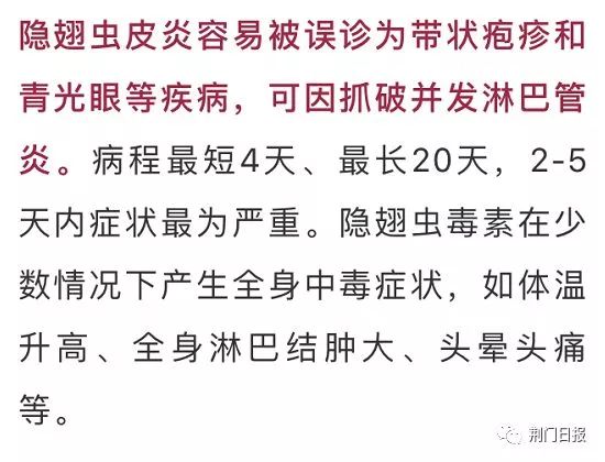 信阳市虫子,信阳常见的虫子