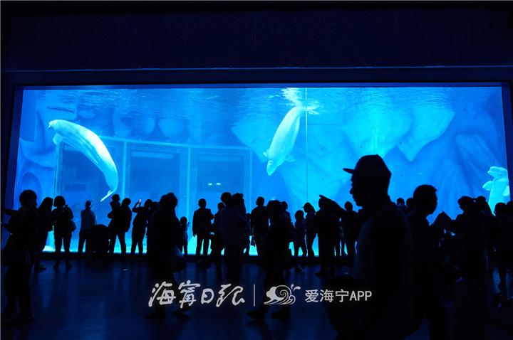 浙江海宁市丁桥小学,浙江省海宁丁桥小学