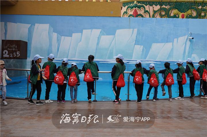 浙江海宁市丁桥小学,浙江省海宁丁桥小学