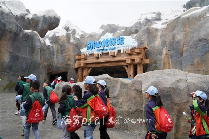 浙江海宁市丁桥小学,浙江省海宁丁桥小学