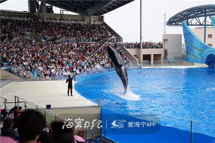 浙江海宁市丁桥小学,浙江省海宁丁桥小学