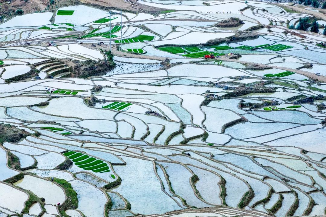 被遗留在丽江一块名为他留梯田的翡翠