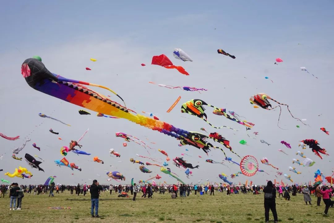 潍坊近期大事件,潍坊新闻头条今日大事