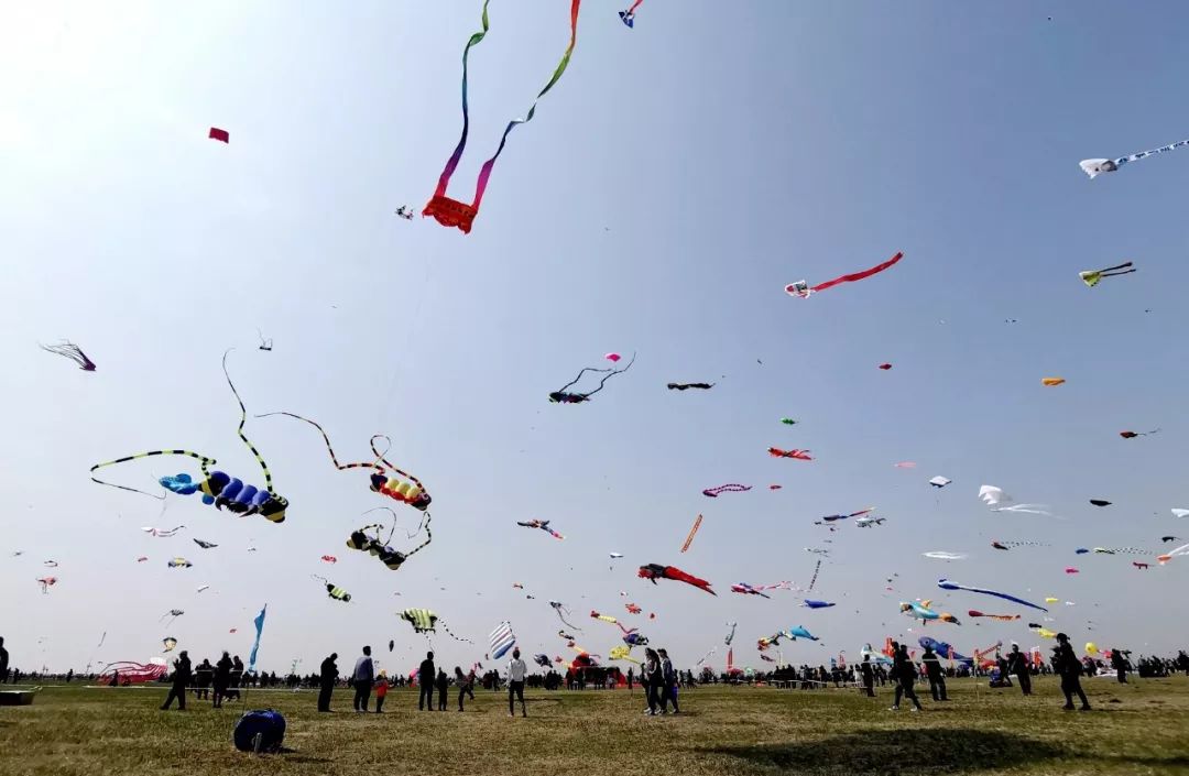 潍坊近期大事件,潍坊新闻头条今日大事