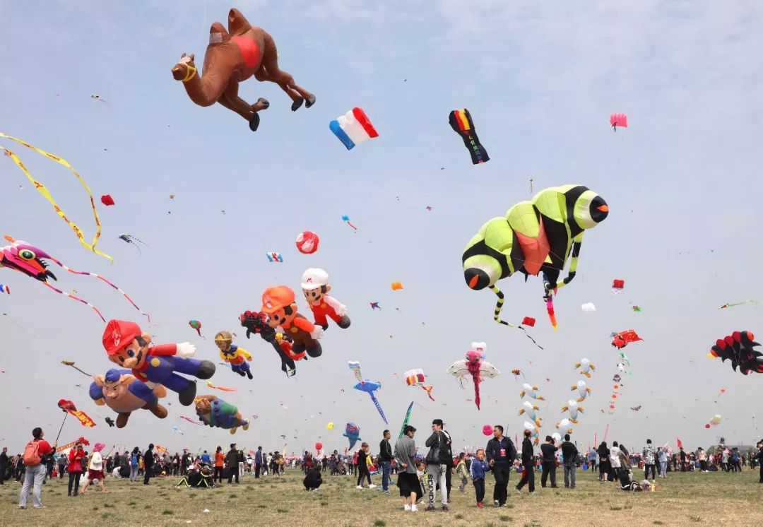 潍坊近期大事件,潍坊新闻头条今日大事