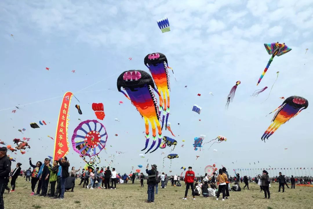 潍坊近期大事件,潍坊新闻头条今日大事