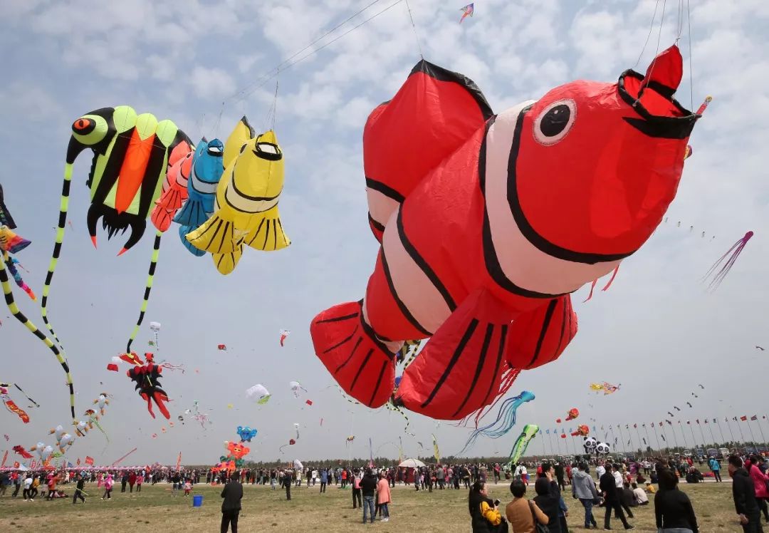 潍坊近期大事件,潍坊新闻头条今日大事