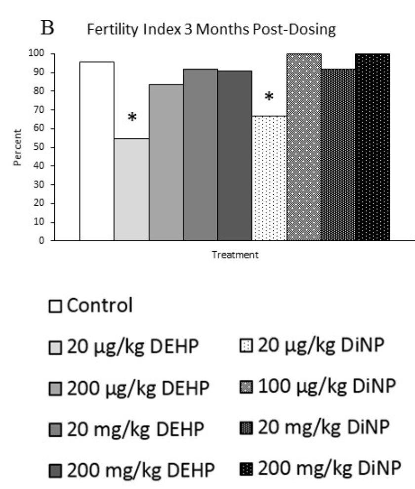 小心塑化剂!科学家证实,日常暴露剂量的塑化剂会导致雌性小鼠生殖能力大幅下降,最高可降50%丨科学大发现
