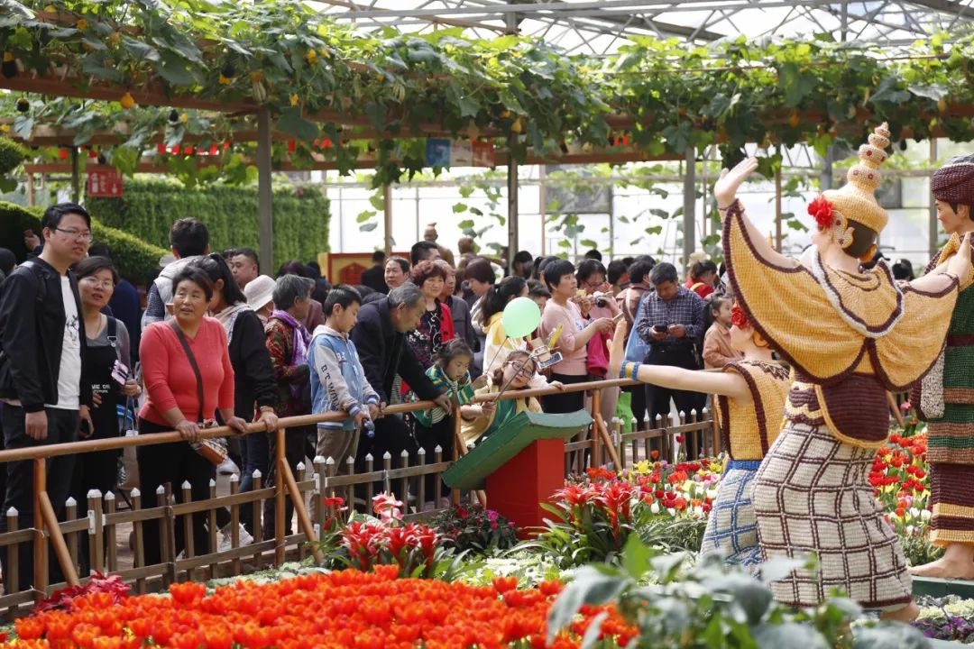 潍坊近期大事件,潍坊新闻头条今日大事