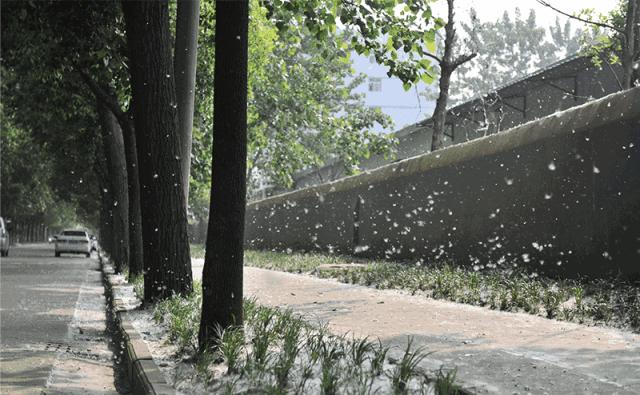 【海淘】用眼过度，酸胀疼痛+*血丝红**？5秒来一场冰泉SPA！爽爆了