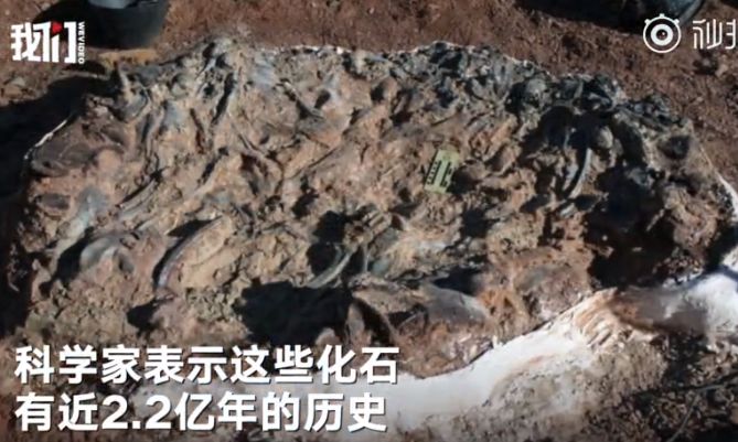 早安2020年4月7日,早安池州