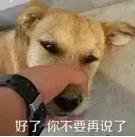 郑州年收入平均多少算高薪呢,2023年郑州平均收入