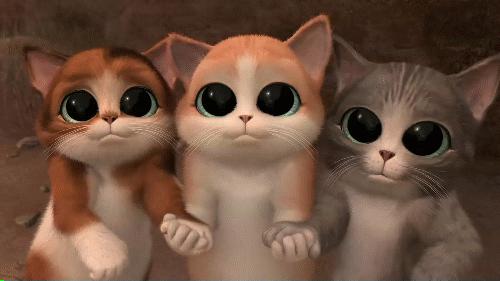 东莞还没考驾照的爽翻!首个全科目一体化考场开建