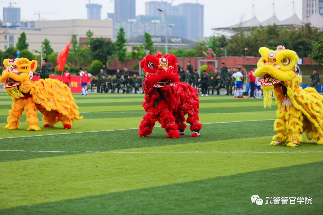 四川省大学足球锦标赛,四川省第一届贡嘎杯足球联赛
