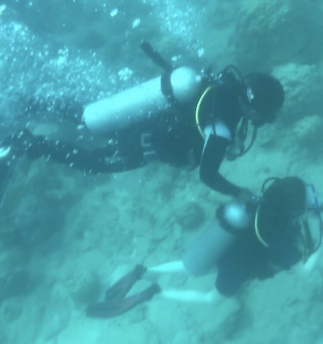 越南越美一号,越南越美游价格