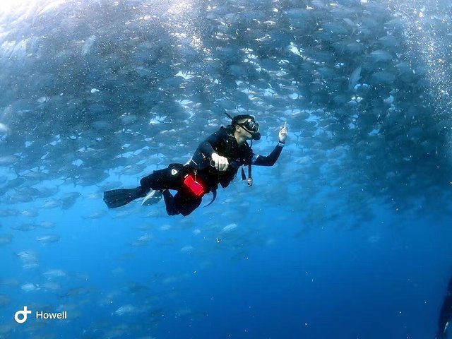 越南越美一号,越南越美游价格