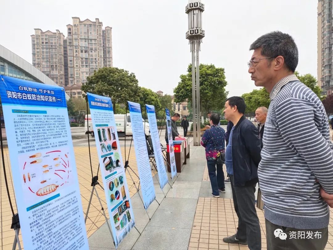 根治白蚁最简单有效的方法,治白蚁最好最快的方法