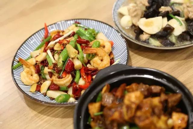 共享际胡撸胡撸萌宠市集,一场春日里的萌宠大聚会!