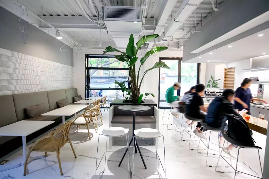 共享际胡撸胡撸萌宠市集,一场春日里的萌宠大聚会!