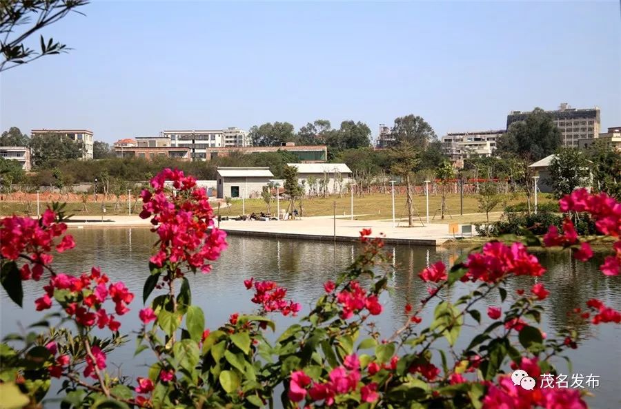 下雨天茂名有什么好玩地方,茂名下雨天好去处