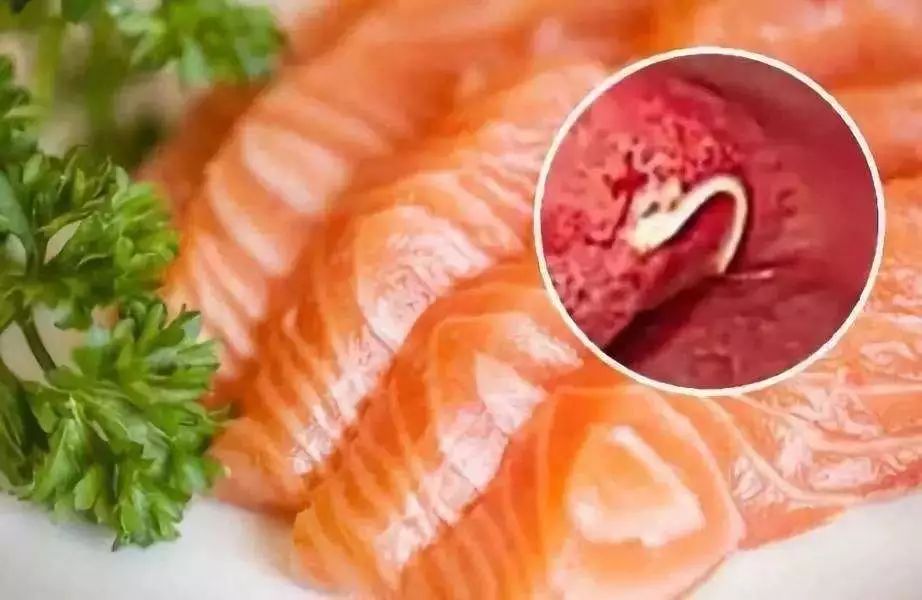 香港消委会：50种刺身样品49种检出重金属，虫卵和线虫也要小心…