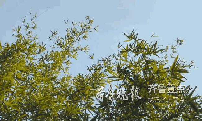 用最纯粹的方式打开生活——荣麟家居大师亮相澳德乐