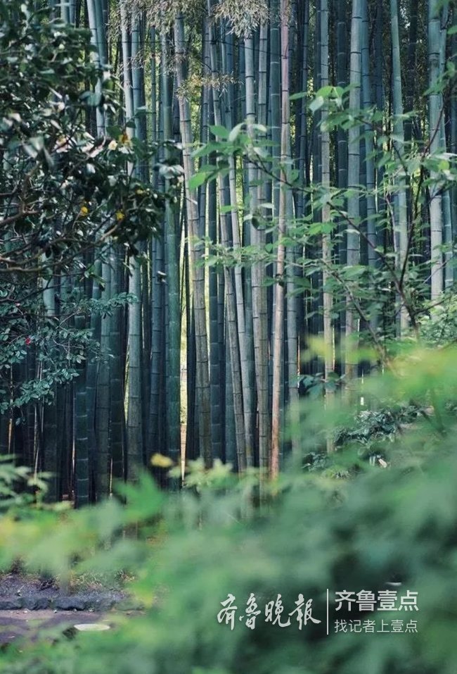 用最纯粹的方式打开生活——荣麟家居大师亮相澳德乐