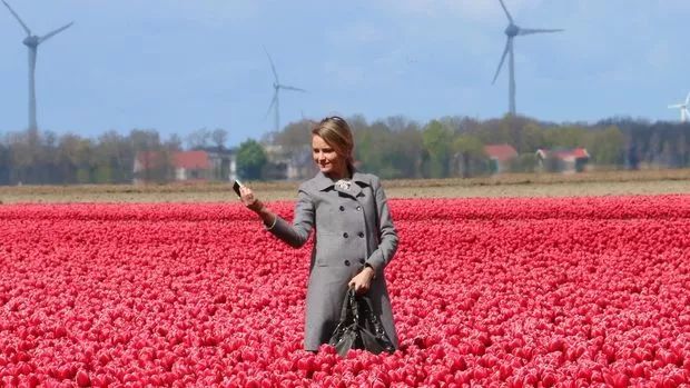 乘坐直升飞机观赏郁金香，可以进入花田自拍采摘，花不了多少钱
