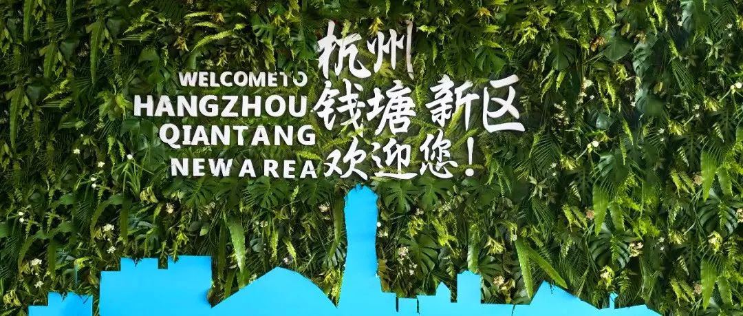 侧踢、前旋踢、腾空后旋……钱塘新区这场武林盛会，热闹非凡！