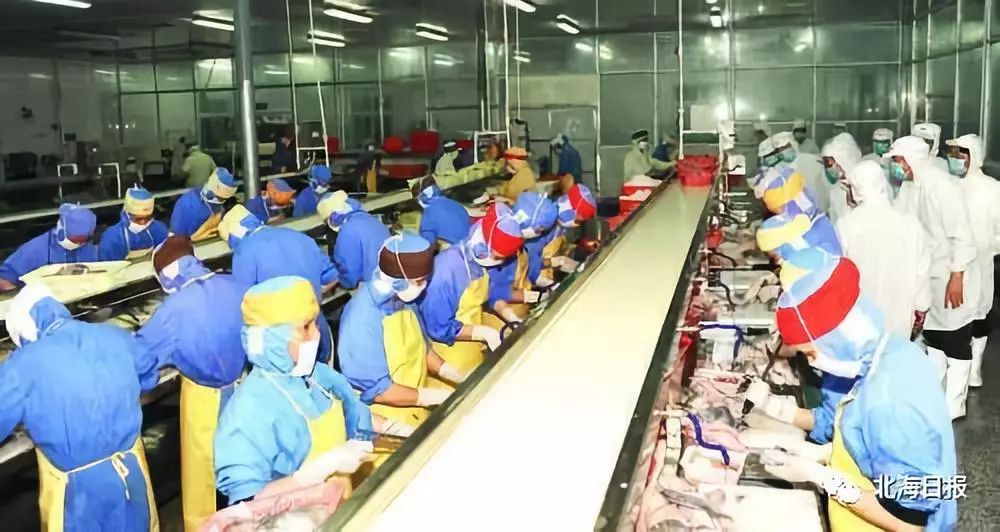 北海向海大道最新规划,北海经济区最新规划