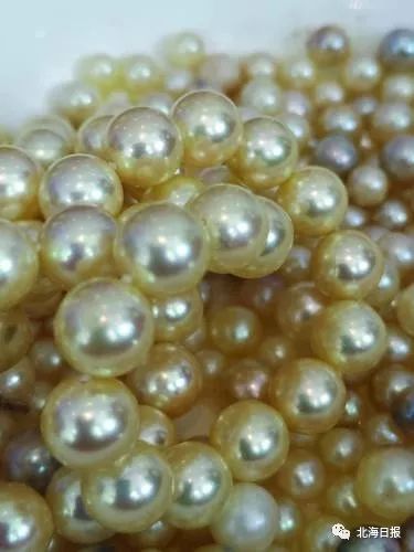 北海向海大道最新规划,北海经济区最新规划