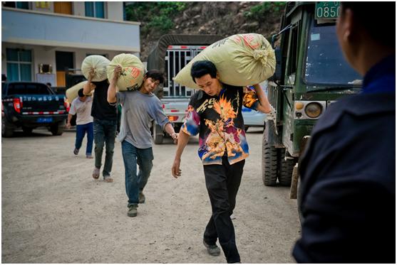 拼多多果园扶贫,拼多多农产品扶贫政策