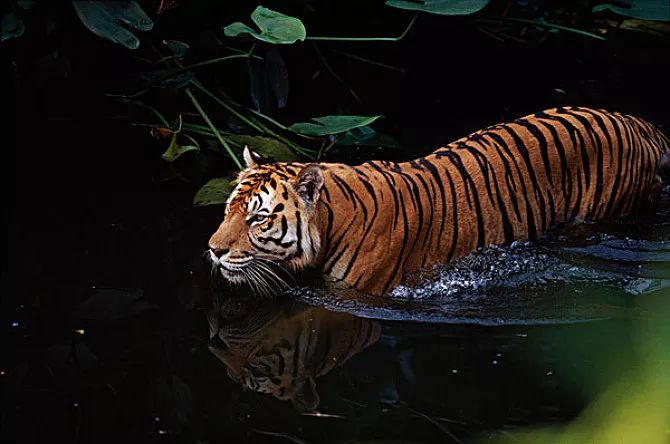 亚马逊在各个领域的成功,亚马逊新变化