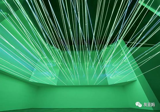 蕃茄田艺术和童画哪个好,蕃茄田艺术培训